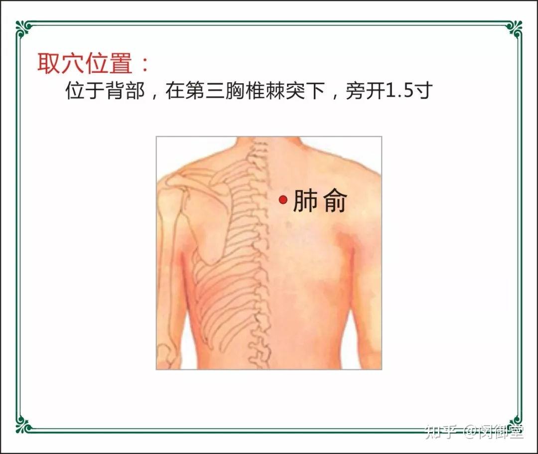 30歲前灸肺俞30後灸足三里50歲後灸關元不同年齡身體容易出的問題不一