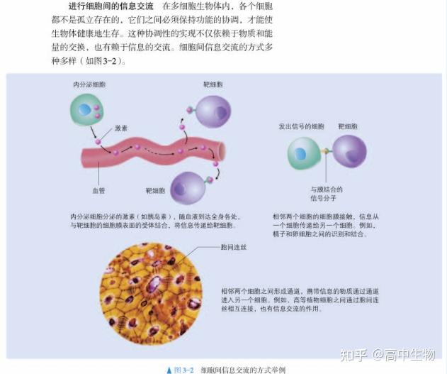 细胞间信息交流方式图图片