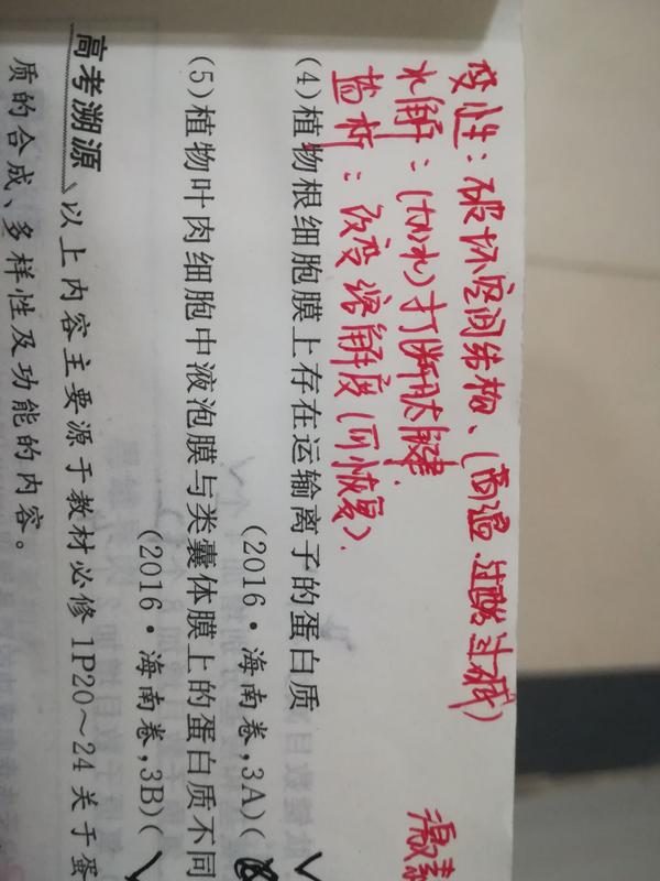 蛋白质加水水解会打断肽键,那算不算变形?还可