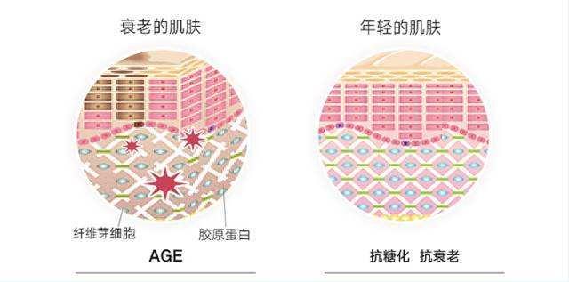 抗糖化是什麼