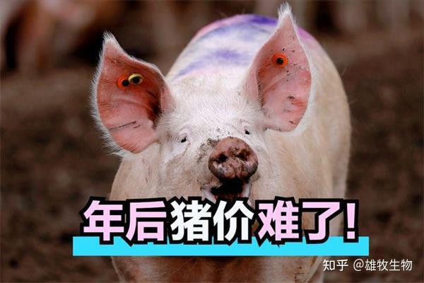 2021疫情会二次爆发吗知乎小说(2021年8月疫情爆发在哪)