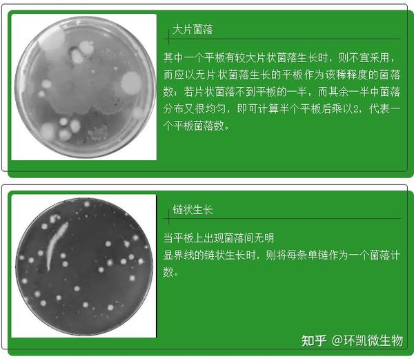 【微生物】菌落计数知多少——计数和培养步骤 - 知乎