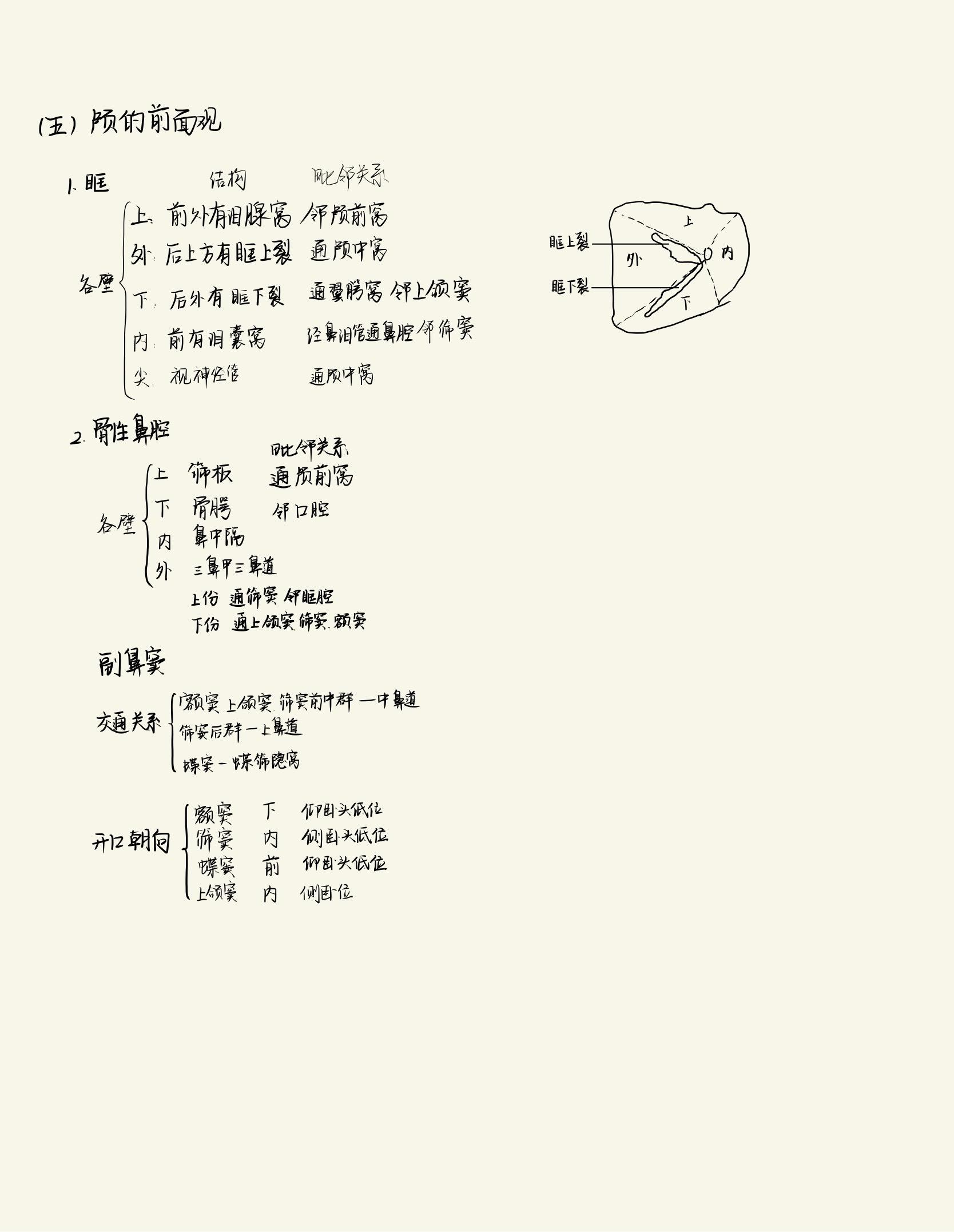 牲 86人赞同了该文章 第一节总论 第二节 中轴骨 一