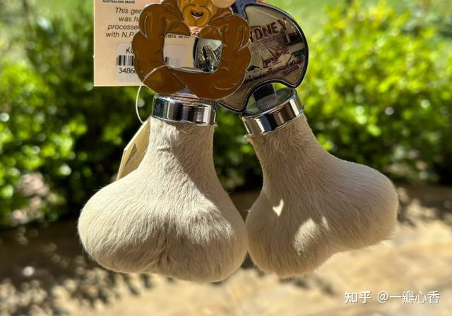 坏了真的有人开始盘玩袋鼠蛋蛋了