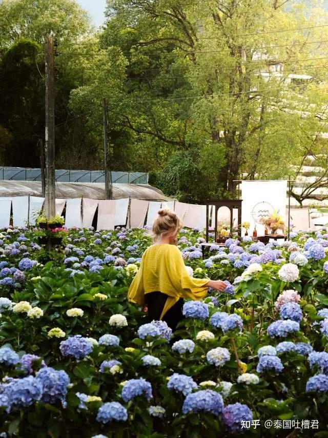 2023 泰国 10 大最佳旅游景点,第一次到泰国去哪里?玩什么?