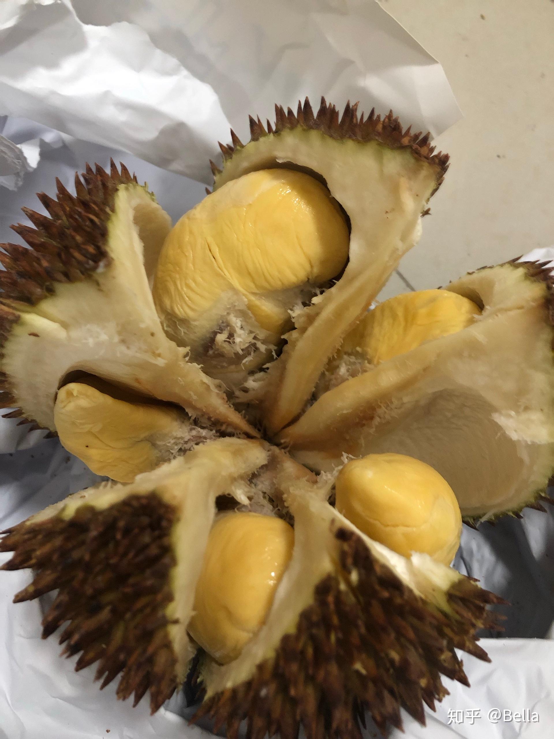 你们吃过自然熟的马来西亚榴莲吗