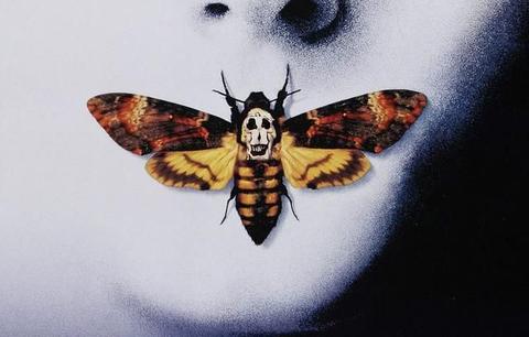 图中的飞蛾放大再放大 这幅由7位女性裸背组成的"骷髅头"图案,出自