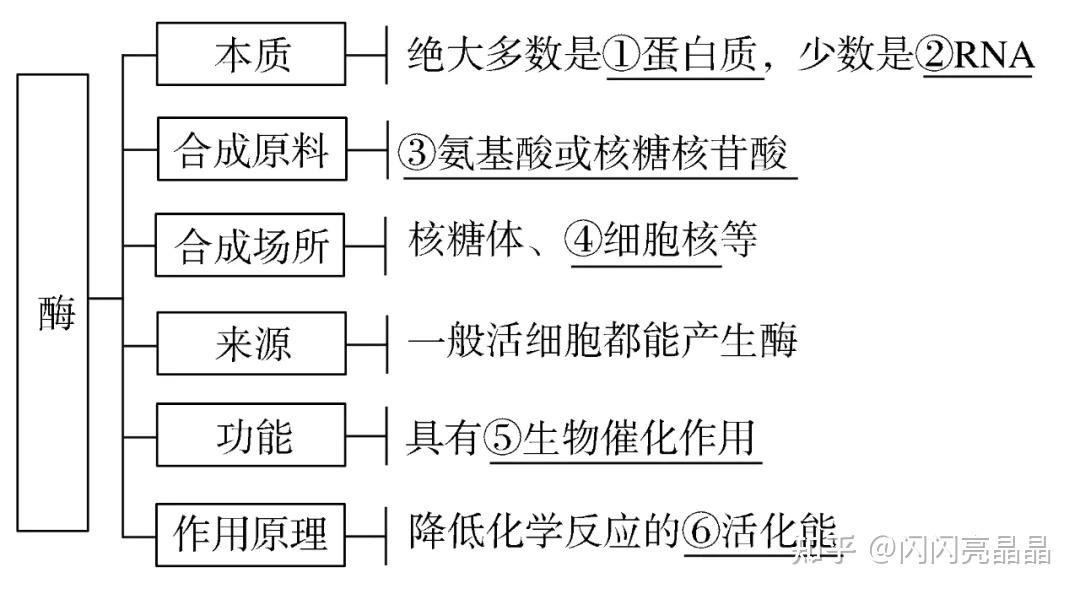 是系統的控制中心13,細胞器的結構及功能14,生物膜系統是聯繫細胞各