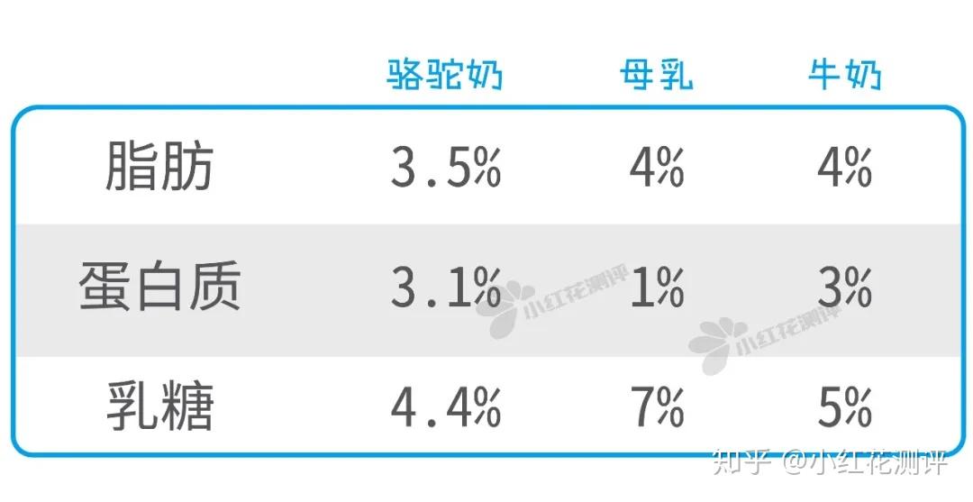 駱駝奶更接近母乳還能代替配方奶粉是真的嗎