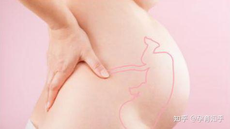 v2-aeca7c6eb2386951ca29174989bba9b5_r.jpg