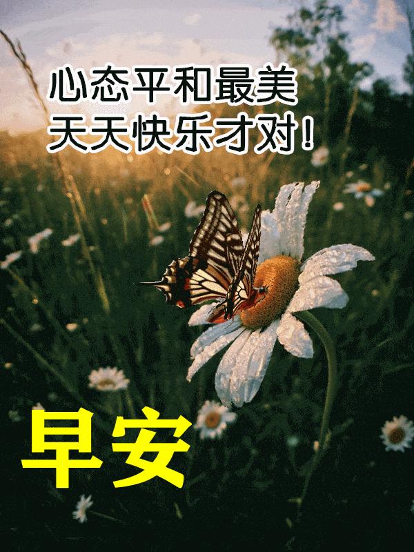 心态平和的早安励志短句