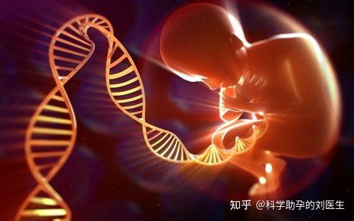 试管男孩婴儿有后代吗?(试管男孩婴儿有后代吗视频)-第1张图片-鲸幼网