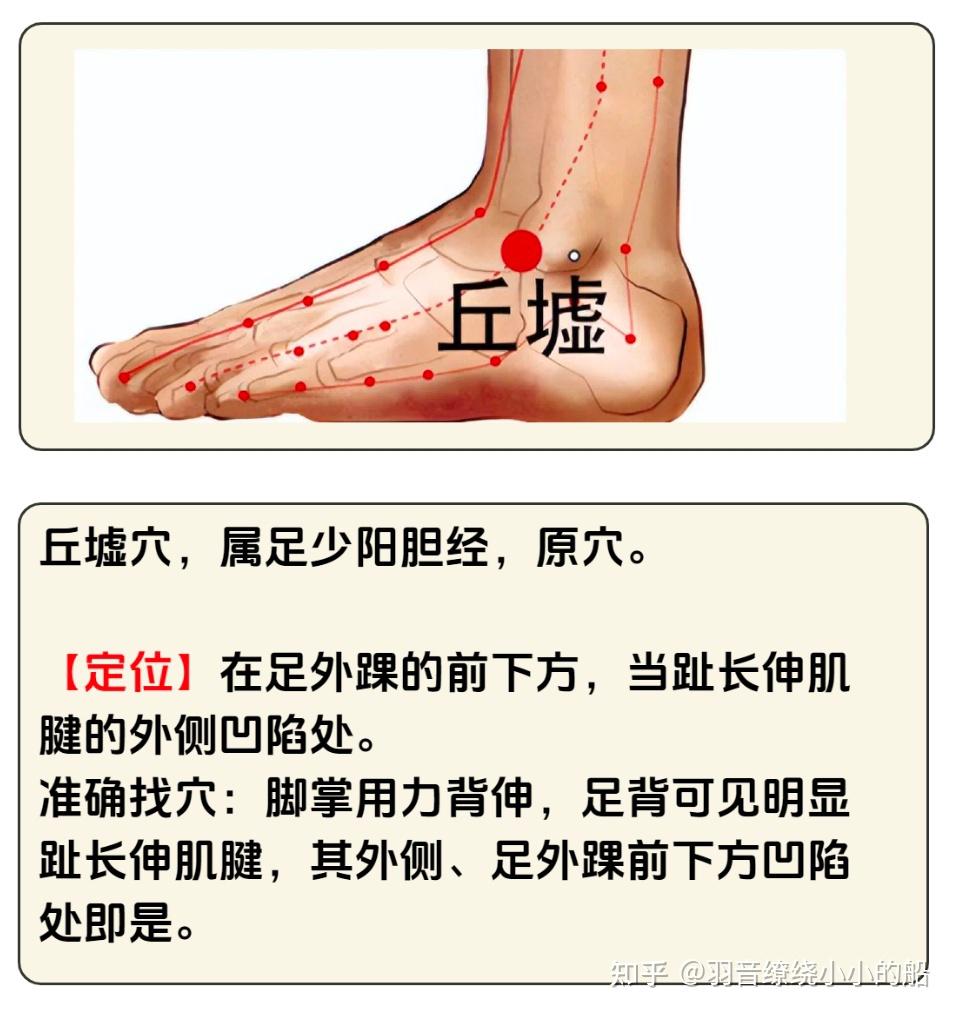 身体自带“妙药”：养筋、补髓，看看胆经的常用穴位 - 知乎