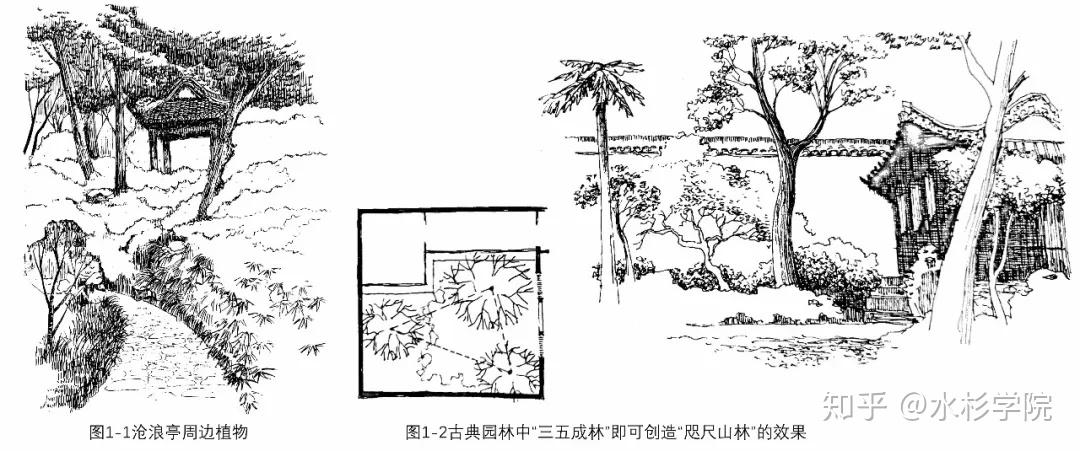 【水杉学院】专栏篇(七)中国古典园林植物配置