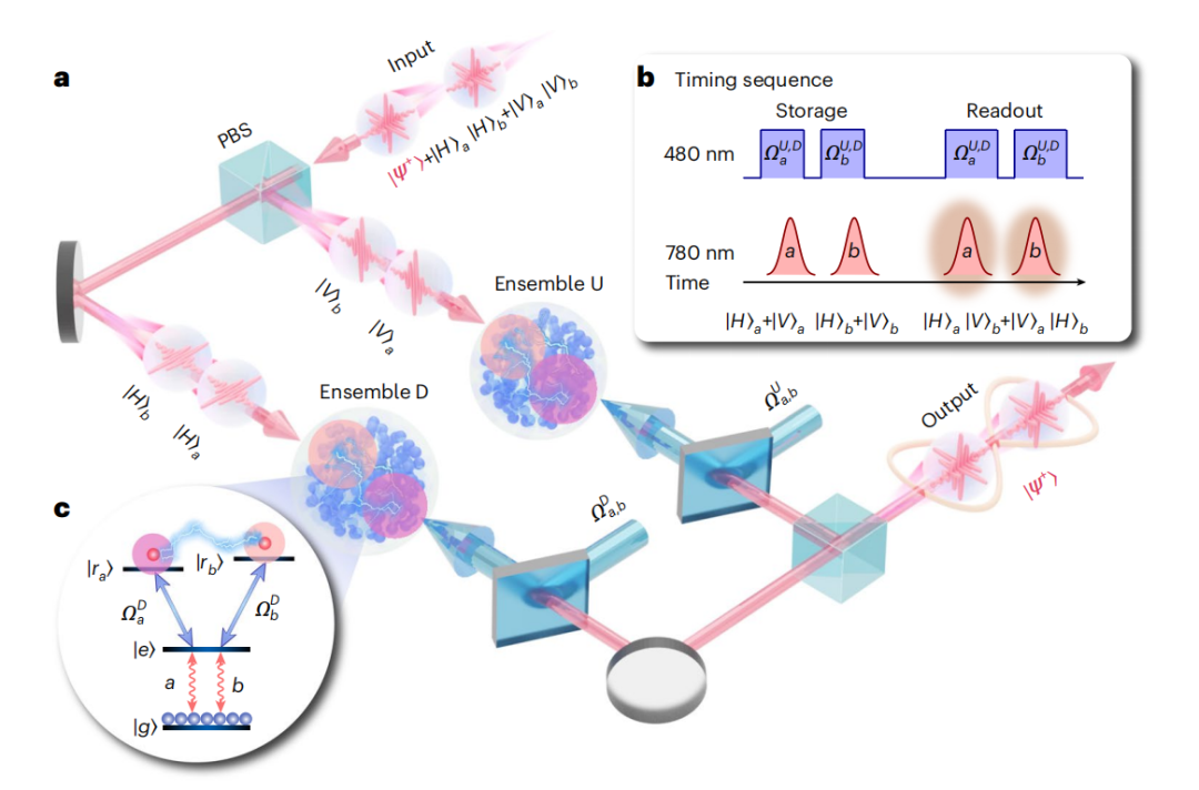 利用里德堡原子，华科团队实现可扩展的光量子信息处理 - 知乎