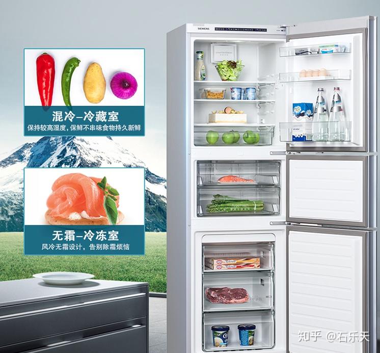 如何选购冰箱 v2-aedc497ae9185fe77c2c85d9c4a1f159_r.jpg