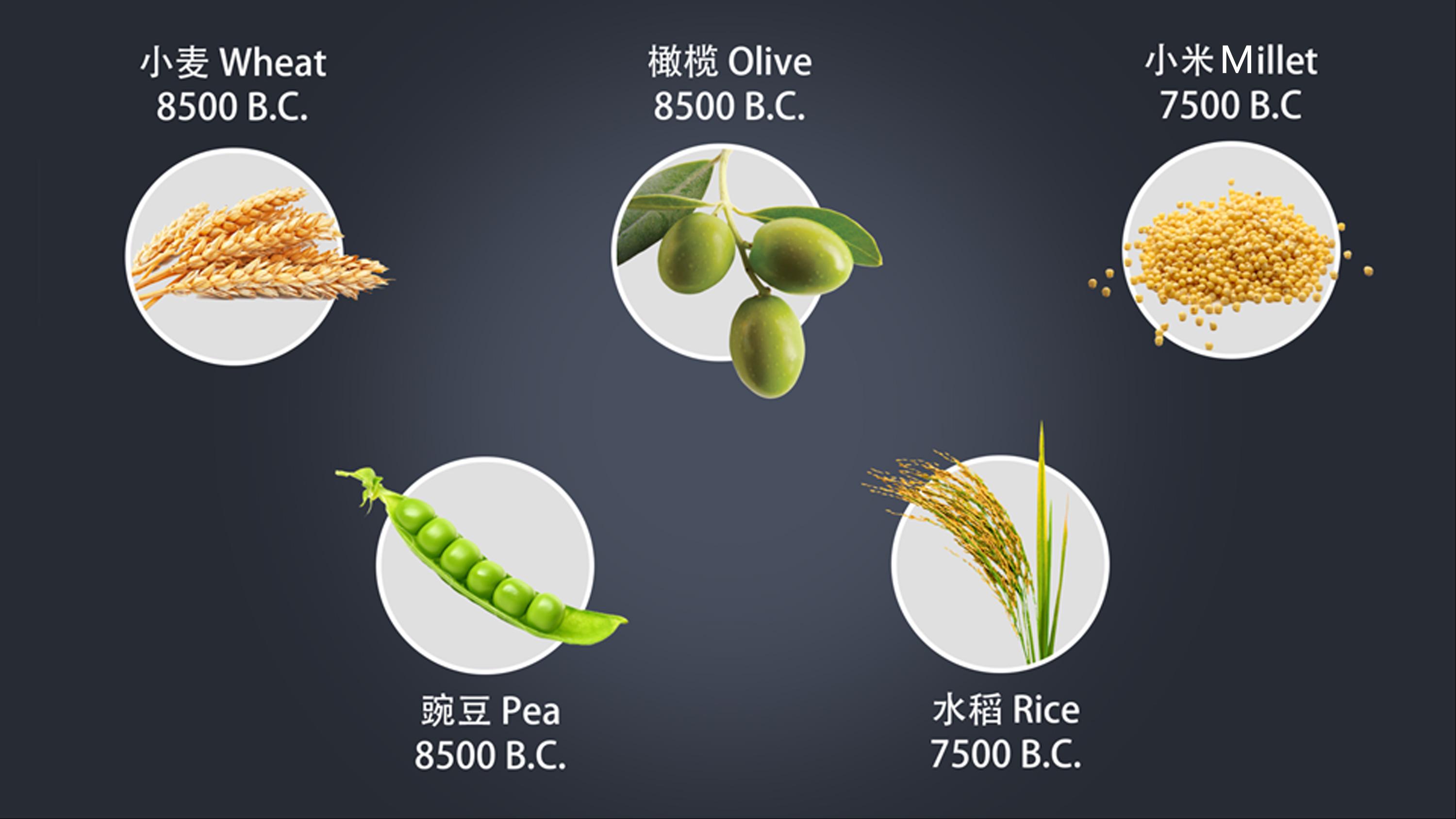 有哪些天文现象影响人类社会的案例? - 河森堡