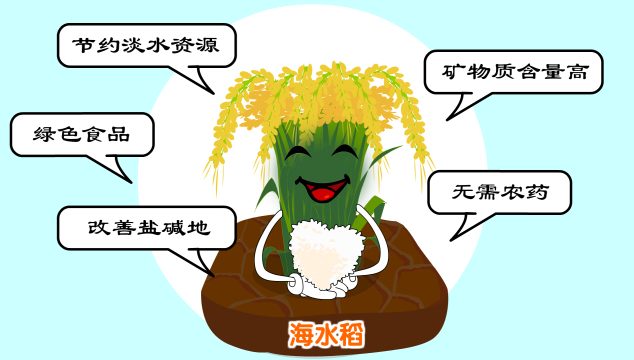 杂交水稻之父袁隆平