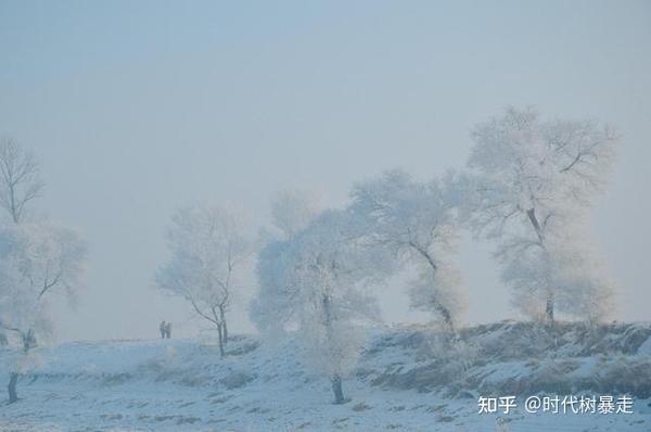 雾凇岛 冬日必看美景 就在吉林的一个岛 知乎