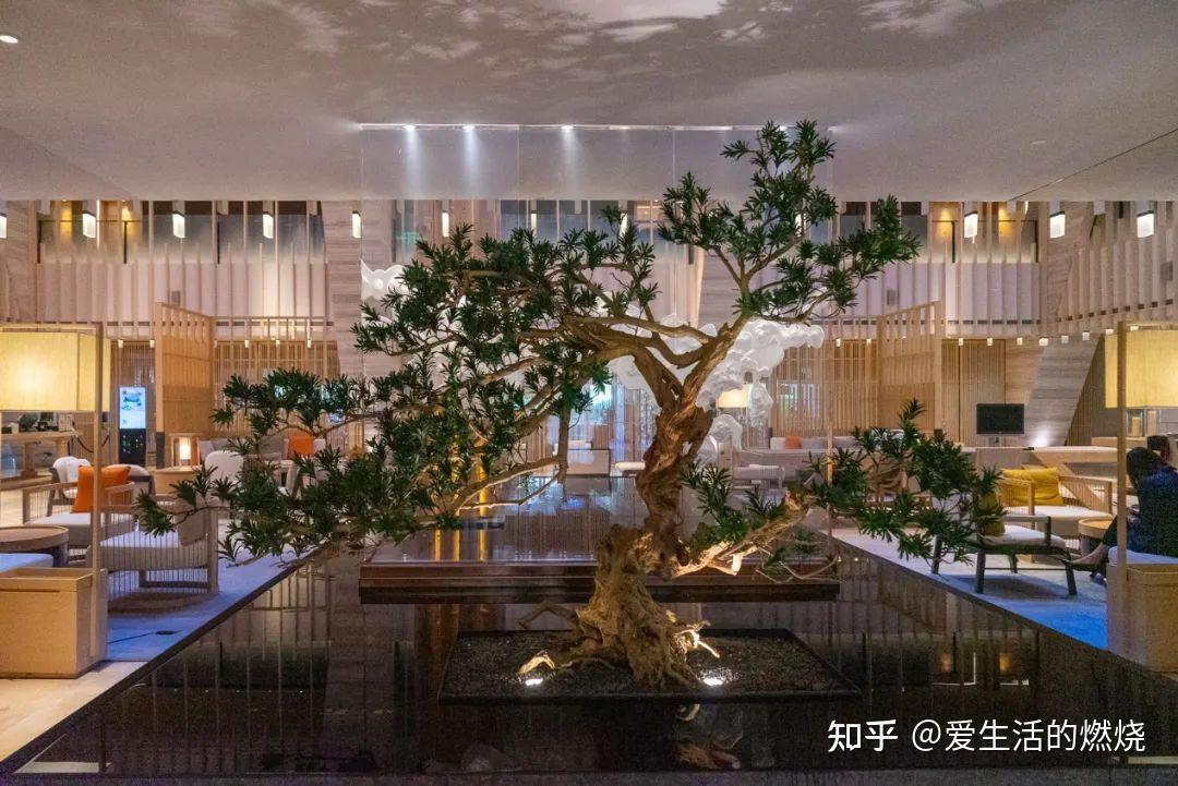 无车一族的度假style!深圳蛇口希尔顿南海酒店入住记 - 知乎