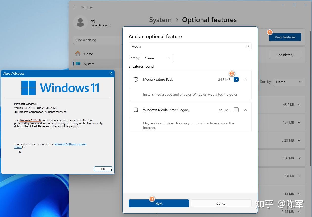 Windows 11 n vmware workstation 17 resampledmo dll 