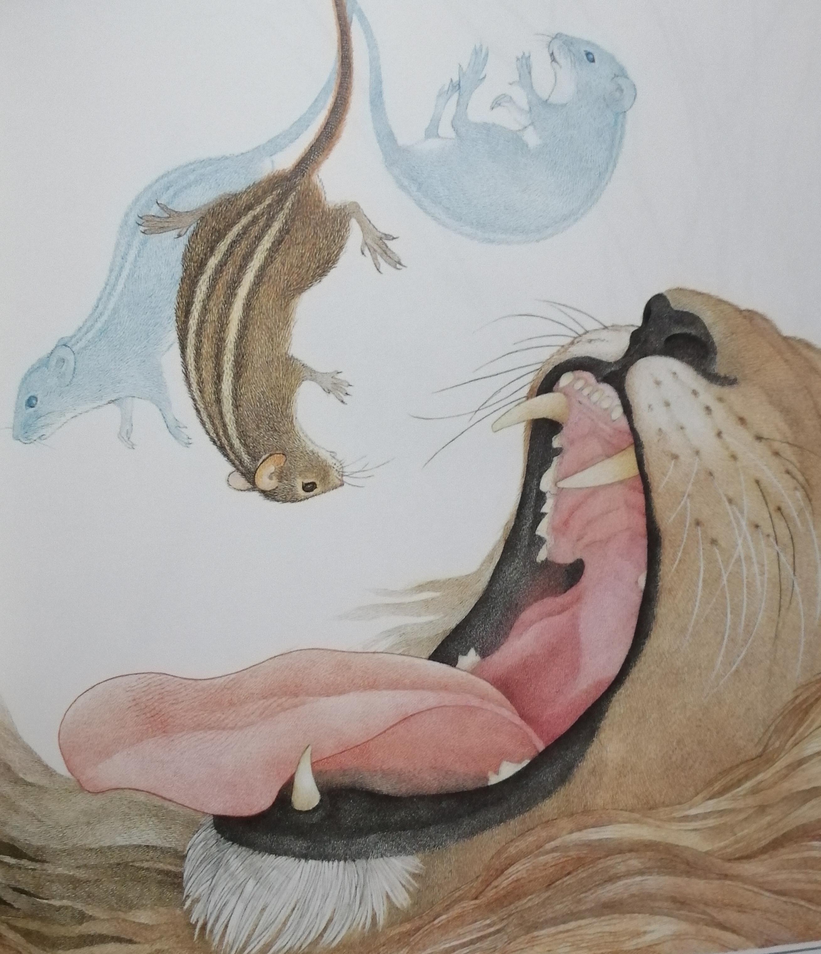 绘画者南希·埃克霍尔姆·伯克特是美国著名的画家,她最受欢迎的插画