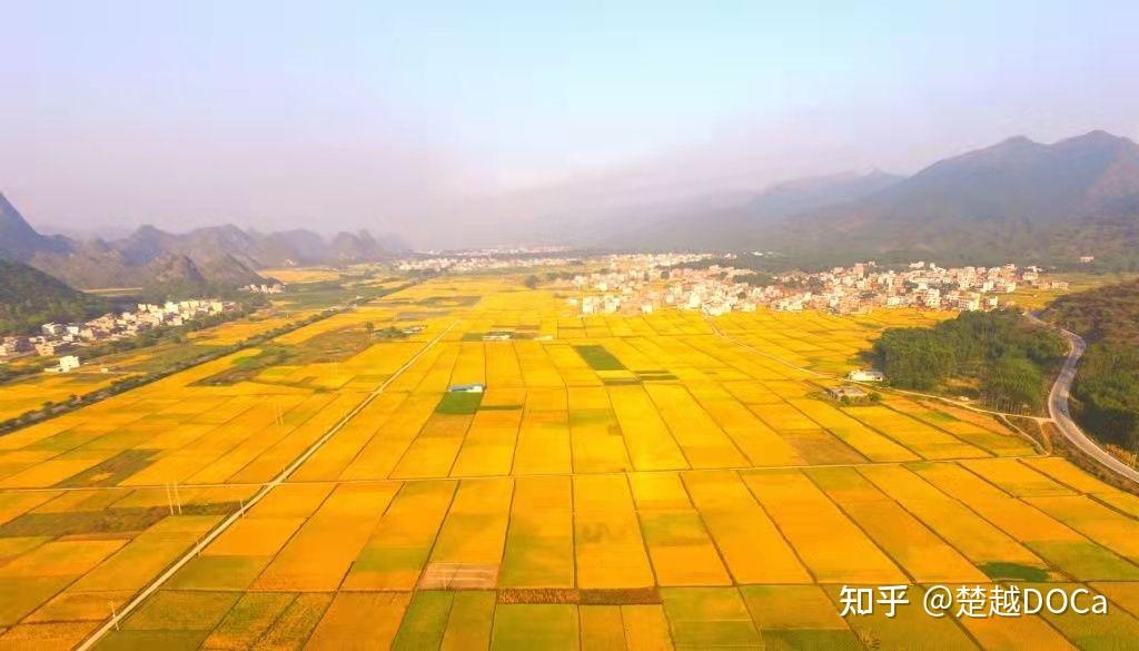 盆地内各平原区介绍