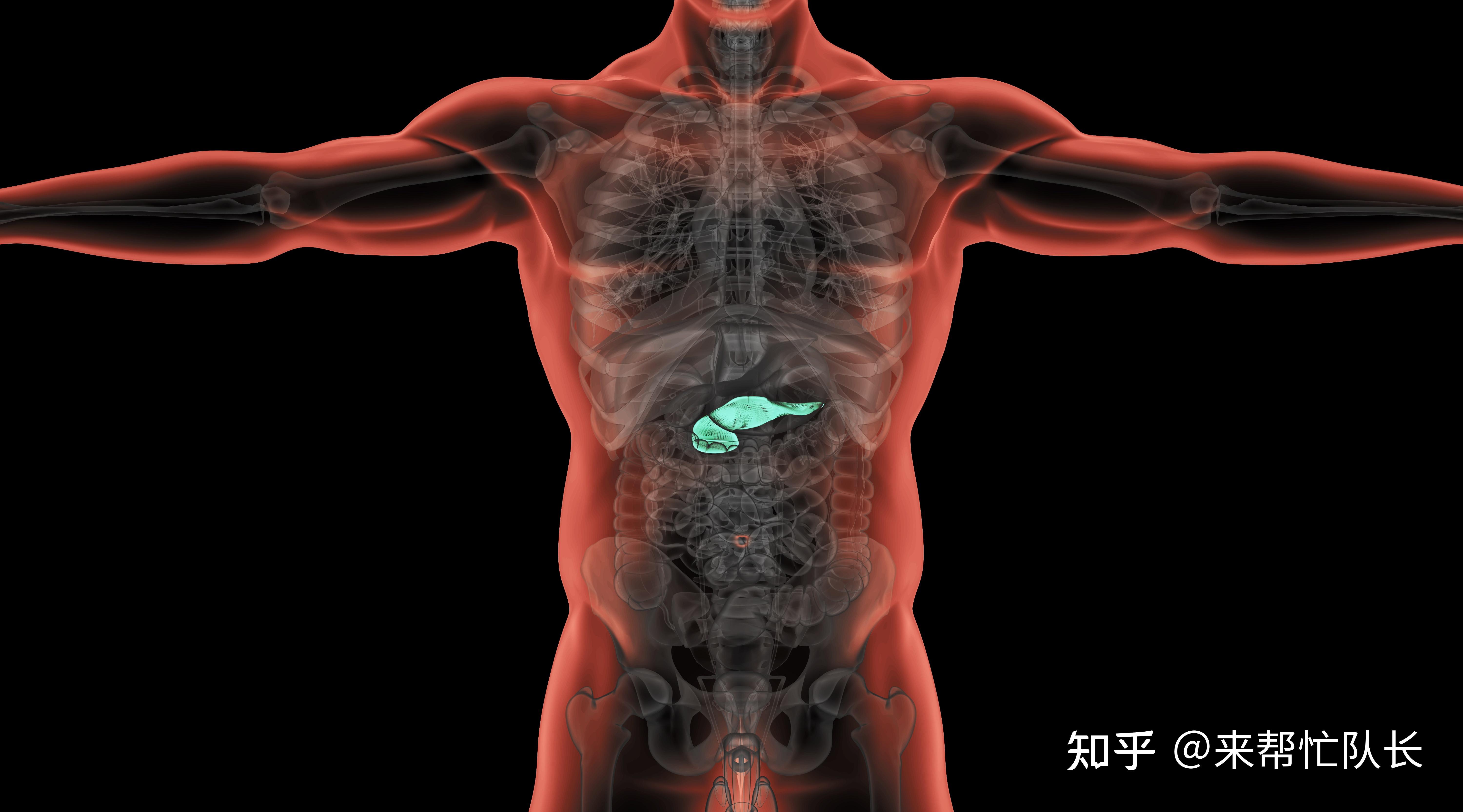 7.胰腺癌手术包括哪些术式-外科学-医学