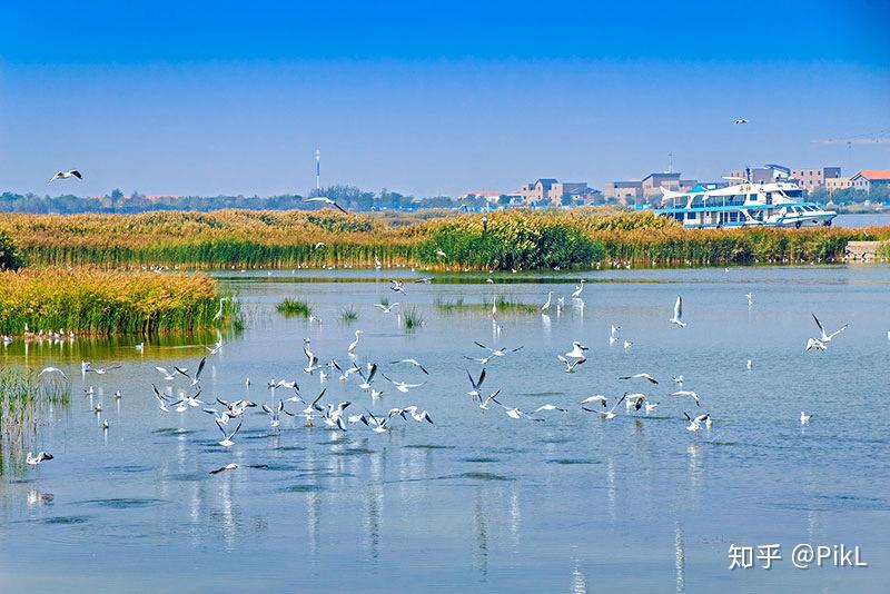 沙湖一日游 - 知乎