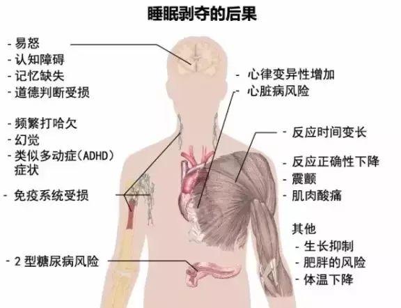 为什么出汗是红色的 v2-af36e9dd021057f10f13d3b61bab8f0d_r.jpg