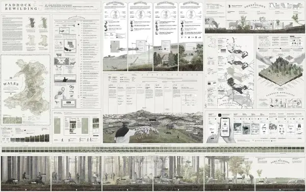再野化景观设计案例|Needle景观案例分享:第三十七期 - 知乎