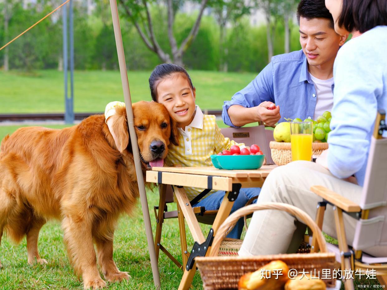 为什么现在城市里养宠物的人越来越多且多数是年轻人? - 知乎