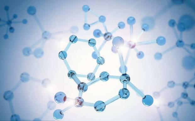 谈配方关于肌肽你知道多少