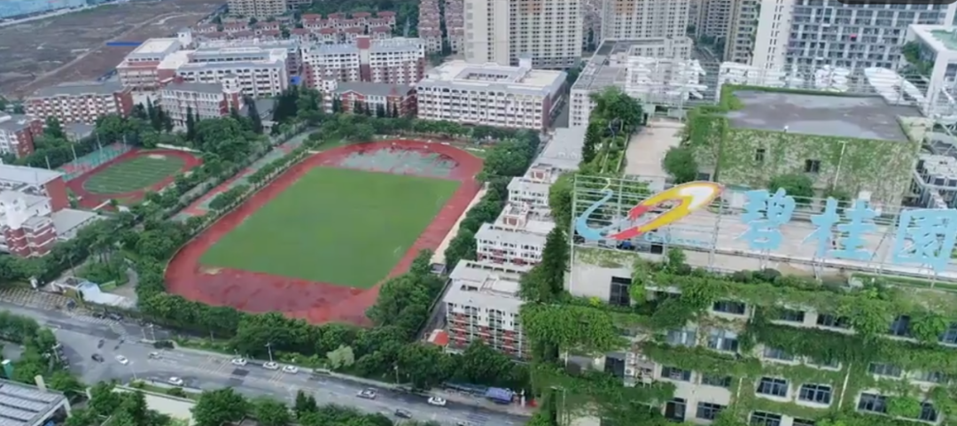 这也是国华多年的一个传统,"有那种家的安全感,家的背后是碧桂园,是一