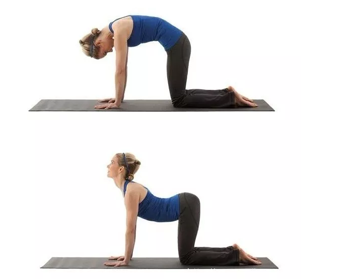 如何才能不驼背 v2-af80e83e48281a2767a07455c74e16dd_r.jpg