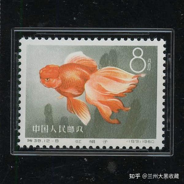 特38金鱼（金鱼）邮票- 知乎