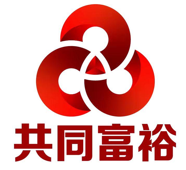 中国共同富裕发展论坛正式发布官方LOGO徽标 - 知乎