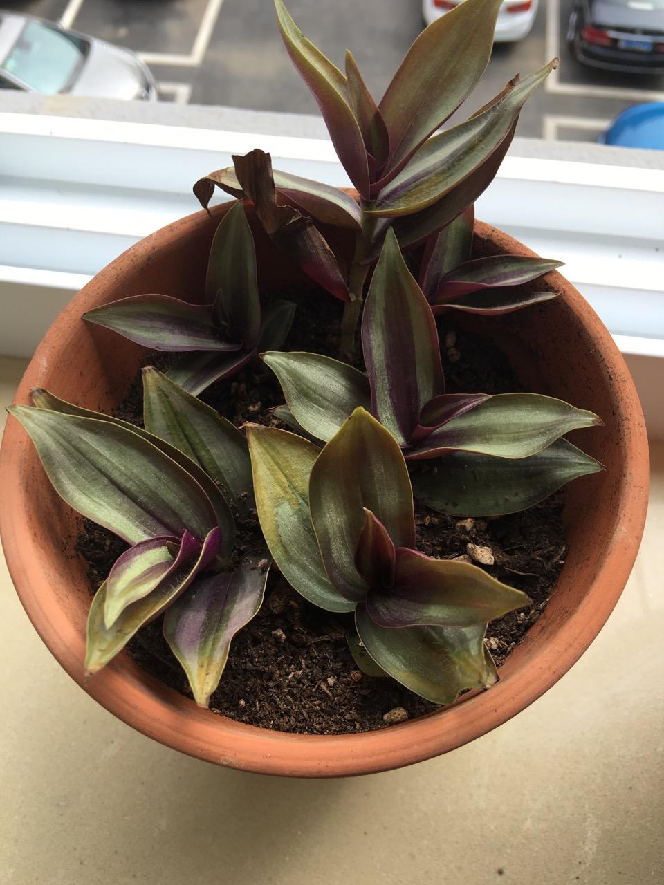 公务员在办公室无聊之时,该如何提升自己? - C