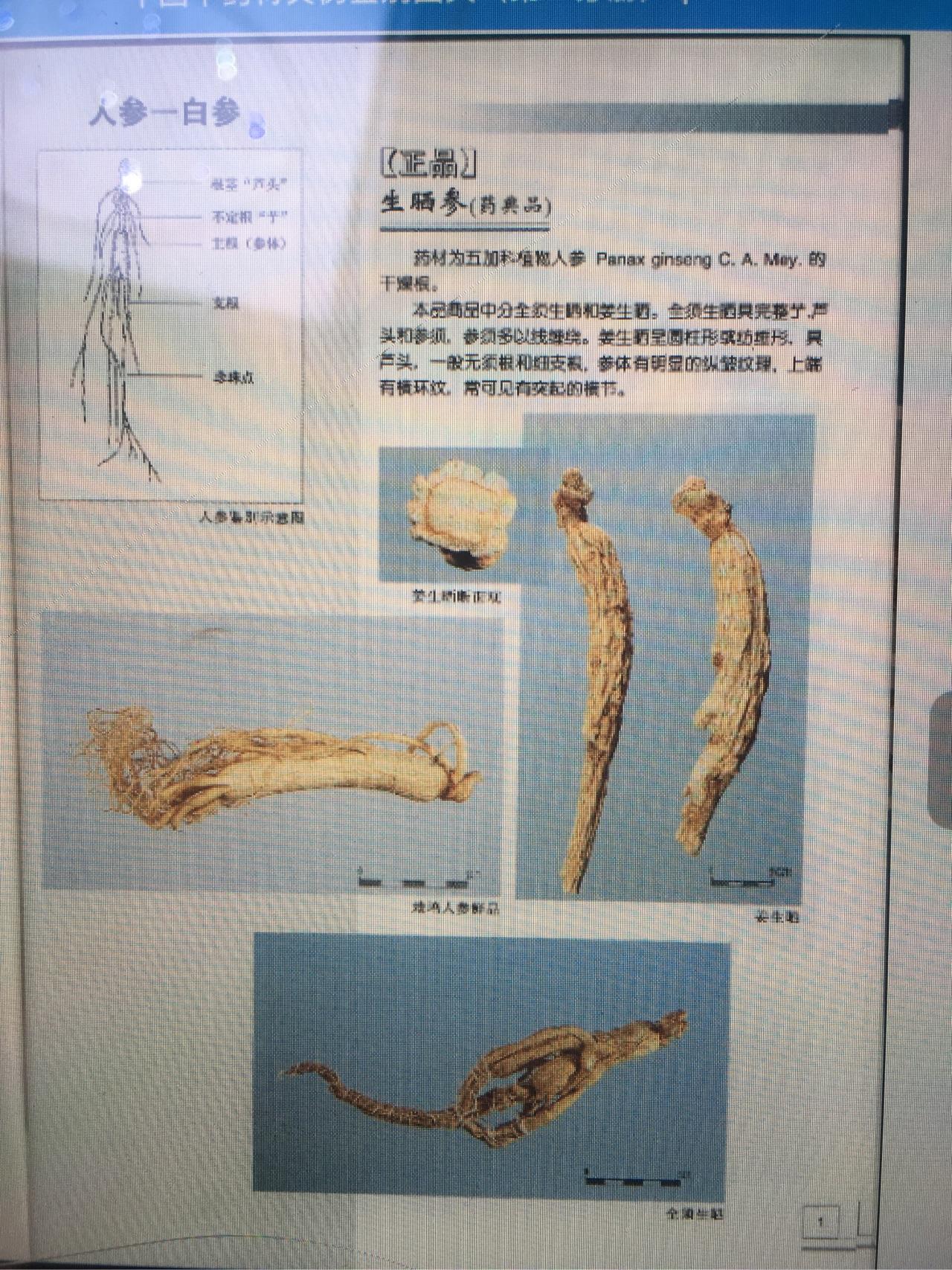 人参、白参、西洋参的区别? - 人参 - 知乎