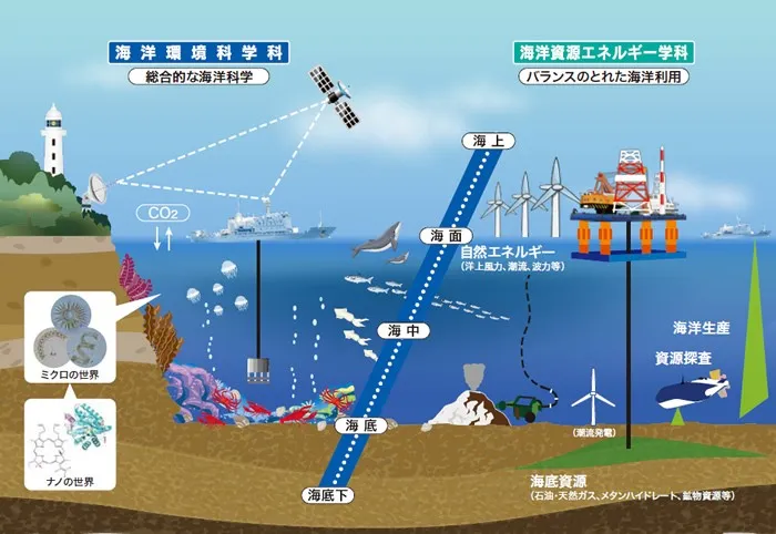 海洋资源环境学部?出海的?