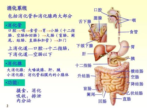 v2-afddeb7d53e021eebf50831ea3a8fb39_180x120.jpg?source=3af55fa1