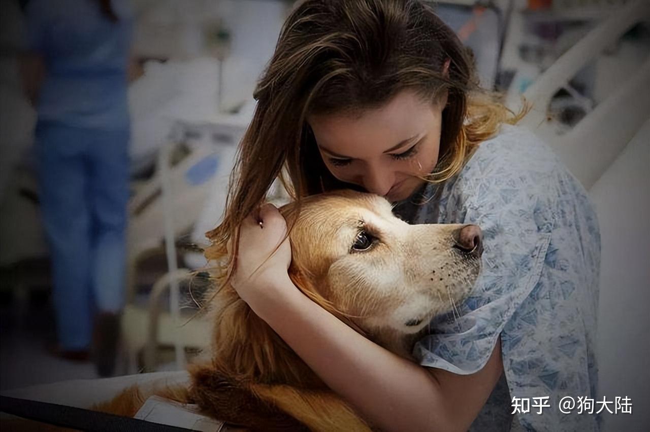 狗狗会甘心挨打,不反抗攻击主人吗?网友的亲身经历告诉你答案 - 知乎