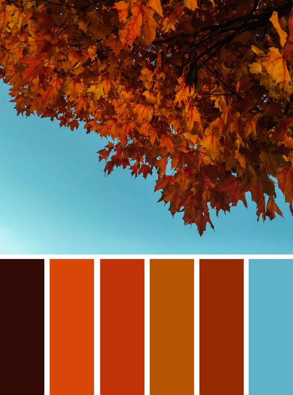 色彩搭配总是显得很乱?80%的设计师容易忽略配色的协调性!