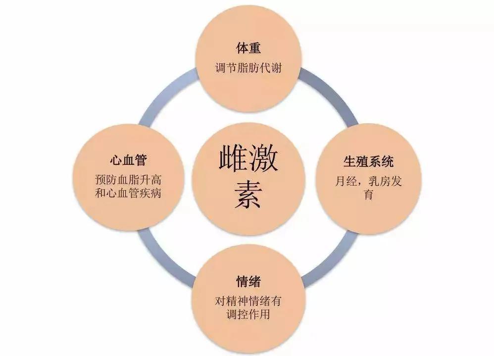 为什么说雌激素是一把双刃剑一文看透雌激素与乳腺癌的那些事儿