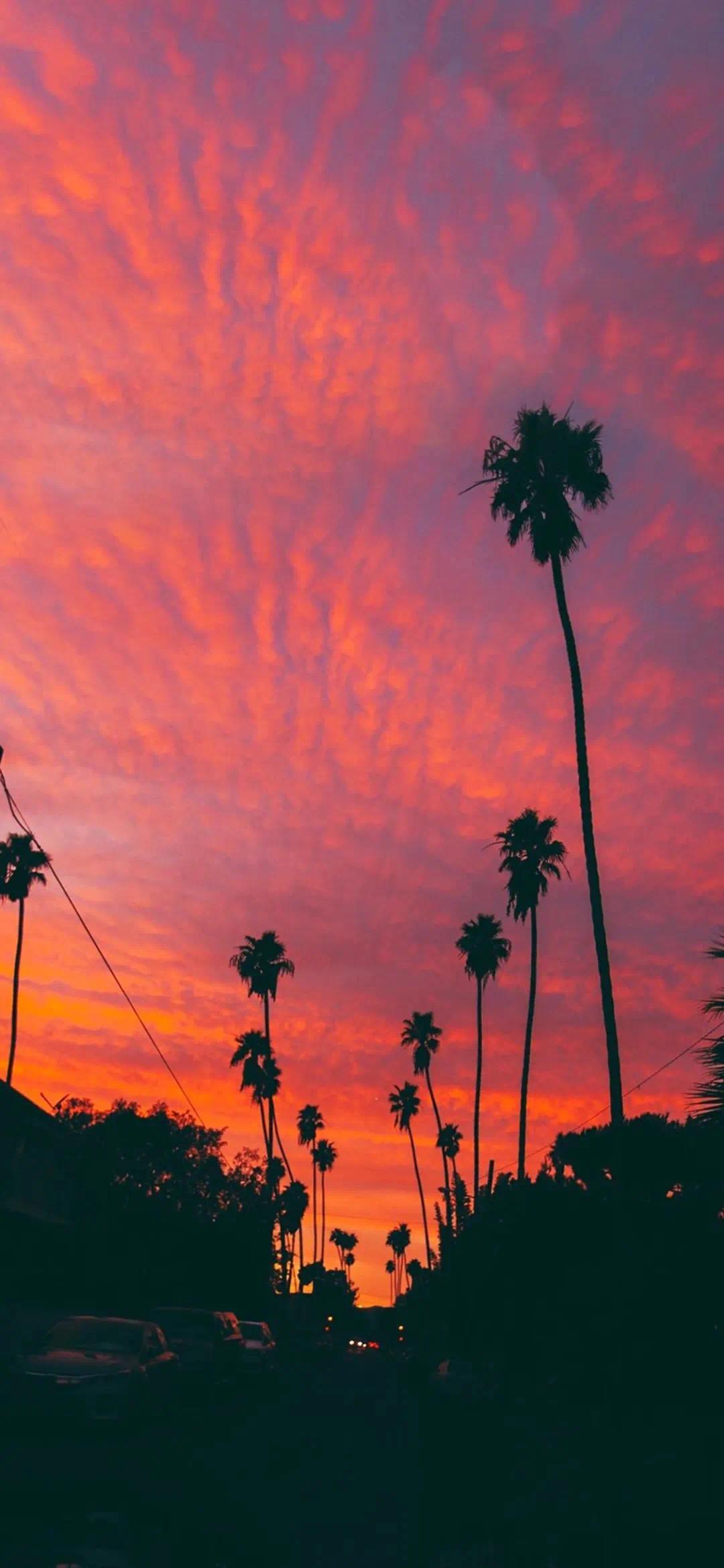 你手机里有晚霞的照片吗? - 知乎