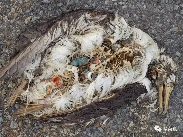 地球最肮脏和人类最丑陋的一面都被他拍进了照片里