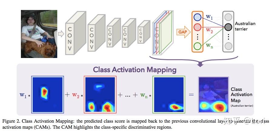 浅谈Class Activation Mapping（CAM） - 知乎