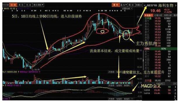 牛股启动形态老鸭头出水芙蓉千金难买源码