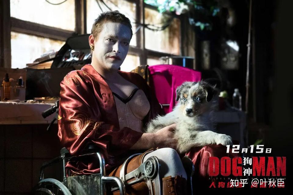 《狗神》深度解析:如果你忽略了这个细节,那就太可惜了 - 知乎