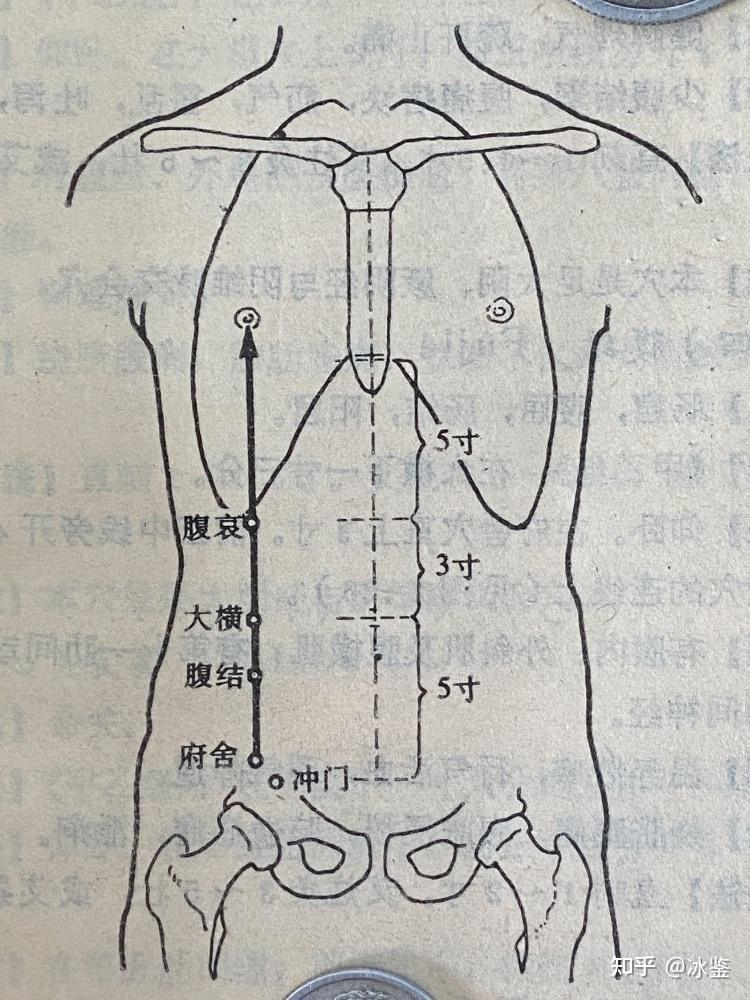 11 箕门 jī mén